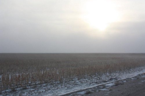 Property photo 63 - Kansas Land Auction - 960 Acres - 7 Farms in 3 Counties